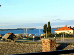 Apartment in Fazana/Istrien 34341